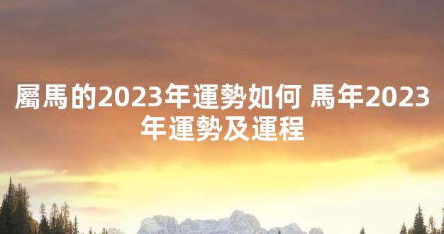 屬馬的2023年運勢如何 馬年2023年運勢及運程